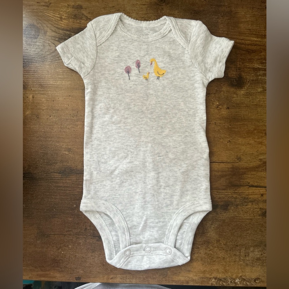 Simple Light Gray Bodysuit with Duck and Flower Design
